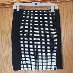 Pencil Skirt